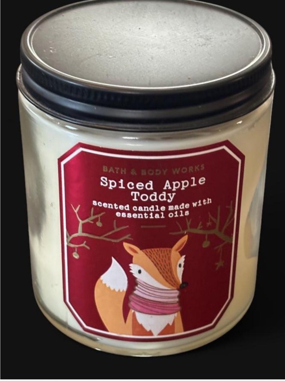 Bath & Body Works Spiced Apple Toddy Soy Candle 7 Oz Camp Collection Holiday
